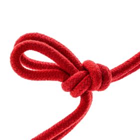 Temptasia (Option: Bondage Rope  32 Feet  Red)